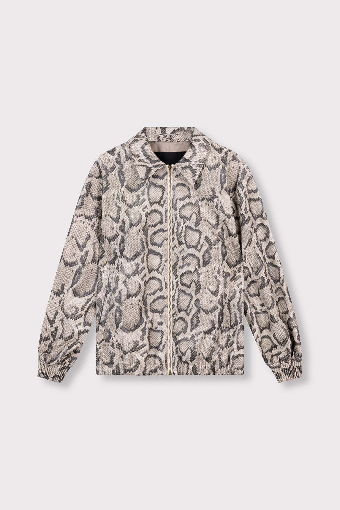 Bomber Snake