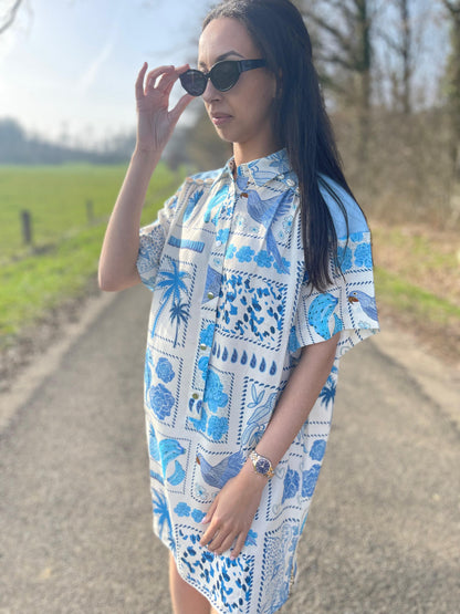 Robe Haivy