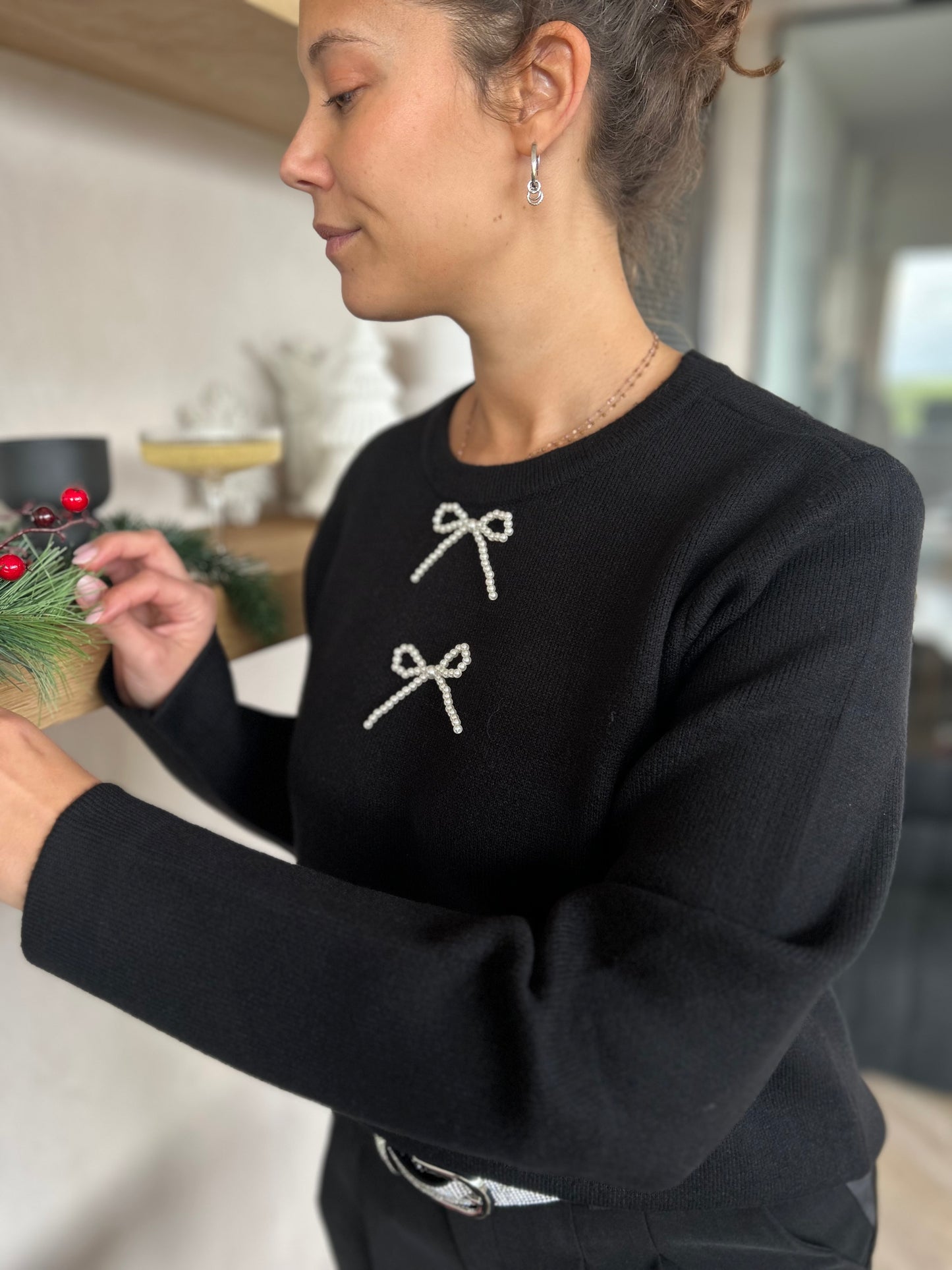 Pullover Holiday